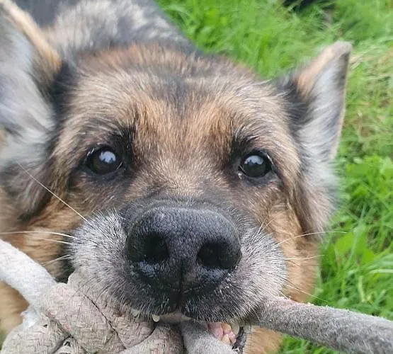 Apartamento Przy Szlaku, Bezplatny Parking *