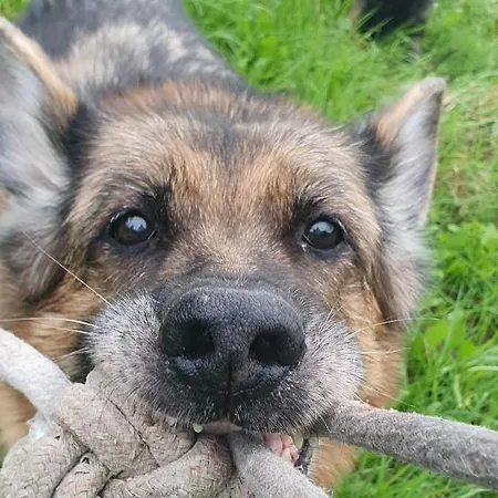 アパート Przy Szlaku, Bezplatny Parking *